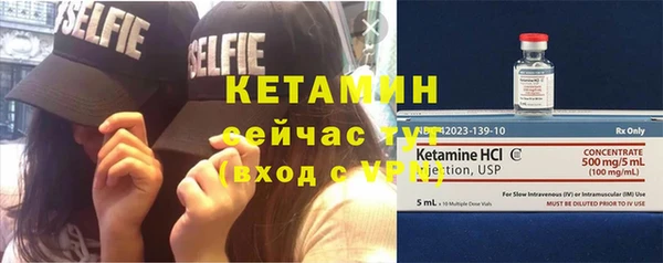 прущие грибы Пестово