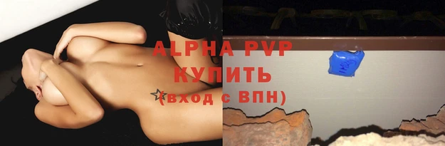 прущие грибы Пестово
