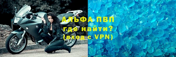 прущие грибы Пестово