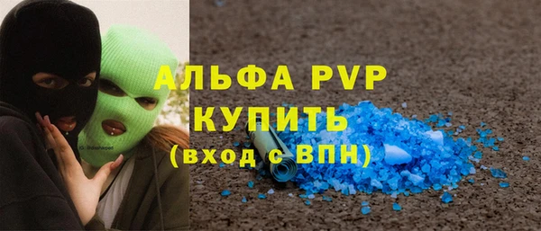 прущие грибы Пестово