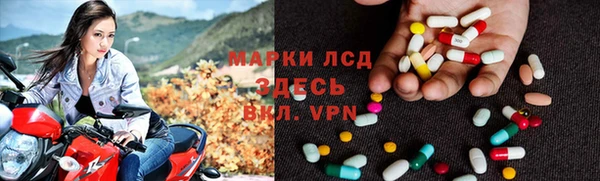прущие грибы Пестово