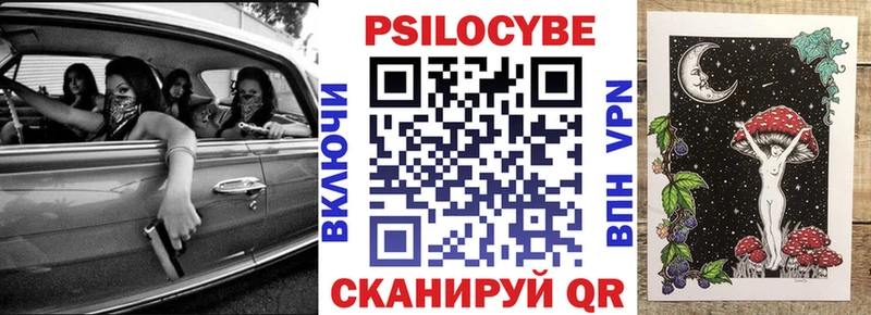 купить наркоту Чкаловск Галлюциногенные грибы Psilocybine cubensis